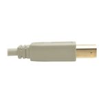 Tripp-Lite-U022-006-BE-cavo-USB-USB-1.1-18-m-USB-A-USB-B-Beige