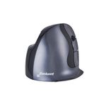 Bakker Elkhuizen BakkerElkhuizen Evoluent D mouse Ufficio Mano destra RF Wireless Laser 3200 DPI