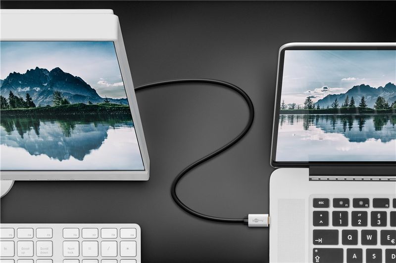 Cavo-adattatore-da-USB-C-a-DisplayPort-2-m-argento-Nero---Connettore-USB-C--connettore-DisplayPort