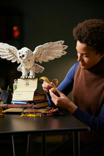 LEGO-Harry-Potter-Icone-di-Hogwarts™---Edizione-del-collezionista