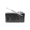 Trevi-RC-80D6-DAB-Portatile-Analogico-e-digitale-Nero-Argento