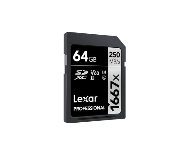 Lexar-SDXC---Scheda-di-memoria-da-64-GB-Classe-10-UHS-II--LSD64GCB1667-