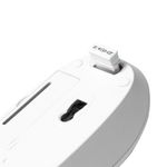 WL-24GHz-w-Mouse-White-German