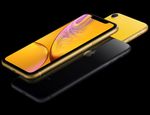 Apple-iPhone-XR---Display-15.5-cm--6.1--LCD-1792-x-828-pixel--Processore-Apple-A12-Memoria-interna-64-GB-Fotocamera-post