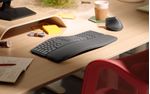 Logitech-Ergo-K860-tastiera-RF-senza-fili--Bluetooth-QWERTY-Nordic-Grafite--ERGO-K860-GRAPHITE-PAN-NORDIC---ND----Versio