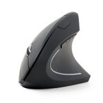 Gembird MUSW-ERGO-01 mouse Ufficio Mano destra RF Wireless Ottico 1600 DPI