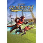 Warner Bros Harry Potter: Campioni di Quidditch (NS)