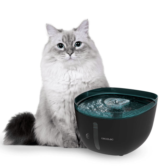 Cecotec-Pumba-2200-Refresh-distributore-di-cibo-e-acqua-per-cani-e-gatti-Plastica-Nero-Blu-Universale-Abbeveratoio-automatico-per-animali-domestici