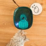 Cecotec-Pumba-2200-Refresh-distributore-di-cibo-e-acqua-per-cani-e-gatti-Plastica-Nero-Blu-Universale-Abbeveratoio-automatico-per-animali-domestici