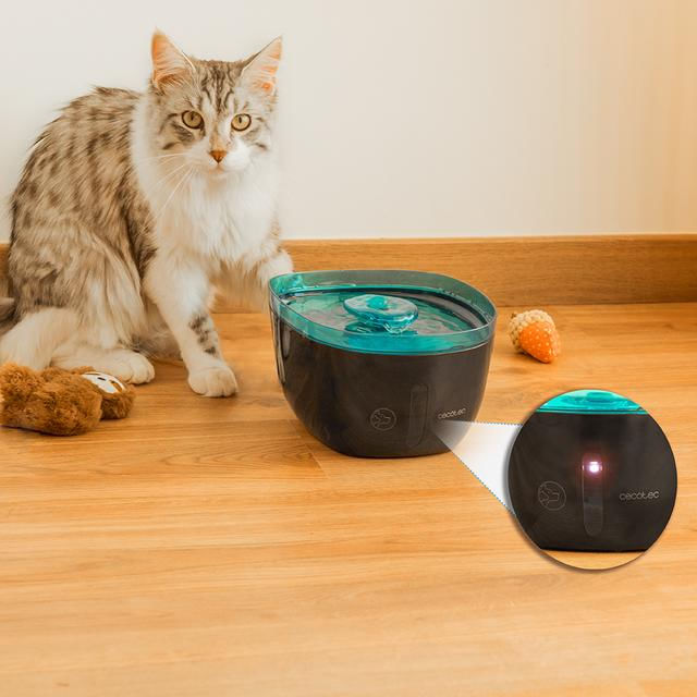 Cecotec-Pumba-2200-Refresh-distributore-di-cibo-e-acqua-per-cani-e-gatti-Plastica-Nero-Blu-Universale-Abbeveratoio-automatico-per-animali-domestici