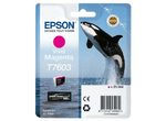 Epson-C13T76034N10-Cartuccia-d-Inchiostro-Originale-Magenta-Vivido