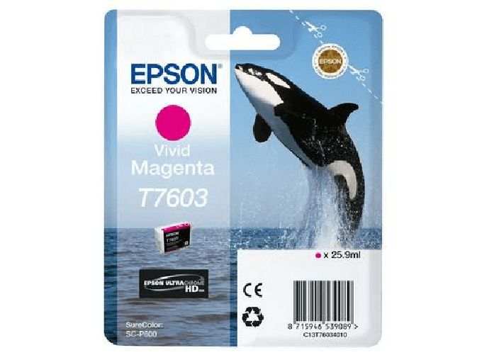 Epson-C13T76034N10-Cartuccia-d-Inchiostro-Originale-Magenta-Vivido