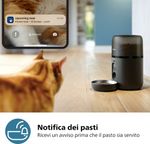 distributore-di-cibo-smart-per-animali-con-telecamera