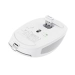 Trust-Ozaa-mouse-Mano-destra-RF-senza-fili--Bluetooth-Ottico-3200-DPI--OZAA-COMPACT-WIRELESS---MOUSE-WHT-