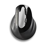 NGS EVO MOKSHA mouse Mano destra RF Wireless Ottico 2400 DPI