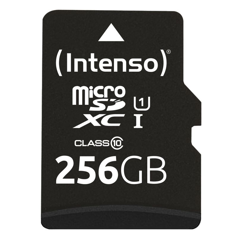 Scheda-di-memoria-intenzionale-Intero-Flash-256GB--MicroSDXC-incl.-Adattatore-SD-UHS-1-