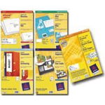 Avery Zweckform Avery Computer Labels 5103 88.9X48.4 1B etichetta autoadesiva 3000 pz