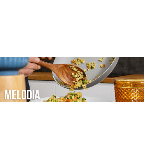 Moneta-Melodia-finegress-padella-cm-24-adatta-ad-induzione