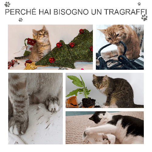 PawHut-Albero-Tiragraffi-con-Graffiatoio-e-Trespoli-per-Gattini-e-Gatti-Adulti-di-Max.-4.5kg-Grigio