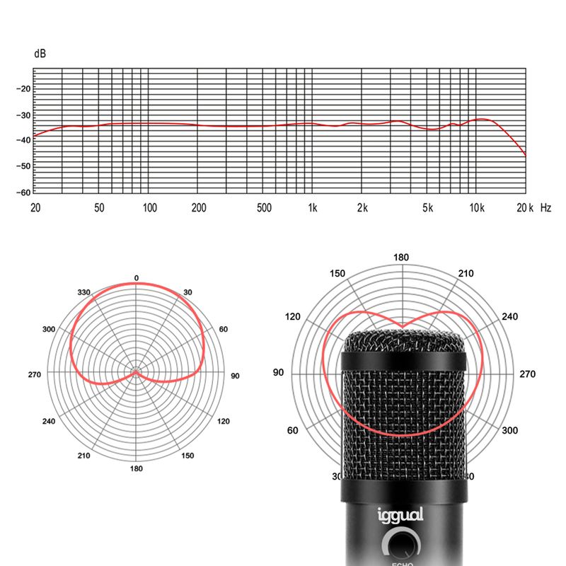 Microfono-USB-iggual-Pro-Voice-con-braccio-regolabile