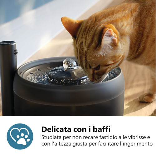 DISTRIBUZINE-FOOD-ACQUA-A-FONTANA-PHILIPS-PAW3210-02-CON-SENSORE