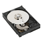 DELL 2T51W disco rigido interno 1 TB 7200 Giri/min 3.5" Serial ATA III