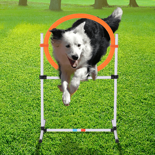 PawHut-Set-Agility-Dog-Portatile-con-Anello-e-Sbarra-Multiuso-e-Salvaspazio-con-Borsa-da-Trasporto-Inclusa-74.5x66x91cm-Bianco-e-Arancione