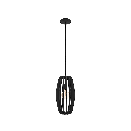 Lampadario-Industrial-Bajazzara-1-Luce-Acciaio-Nero-Diffusore-Nero