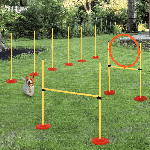 PawHut-Set-Agility-Dog-3-Esercizi--Slalom-Ostacoli-Anello-per-Addestramento-Cani-Portatile-2.5-kg-Giallo-e-Rosso