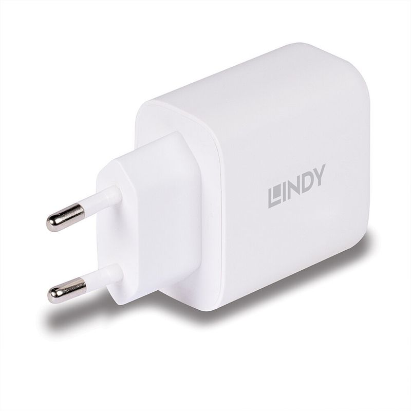 Lindy-Alimentatore-Gan-Usb-Tipo-A--C-65W