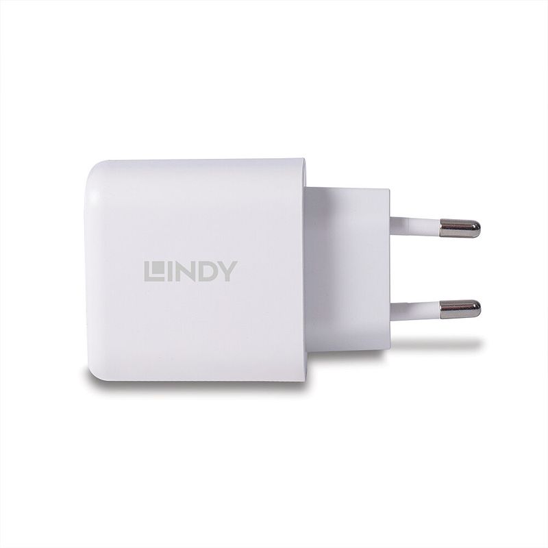 Lindy-Alimentatore-Gan-Usb-Tipo-A--C-65W