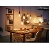 Philips-Globe-con-filamento-G125-E27---confezione-da-1