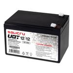 Salicru 013BS000003 batteria UPS Acido piombo (VRLA) 12 V 12 Ah