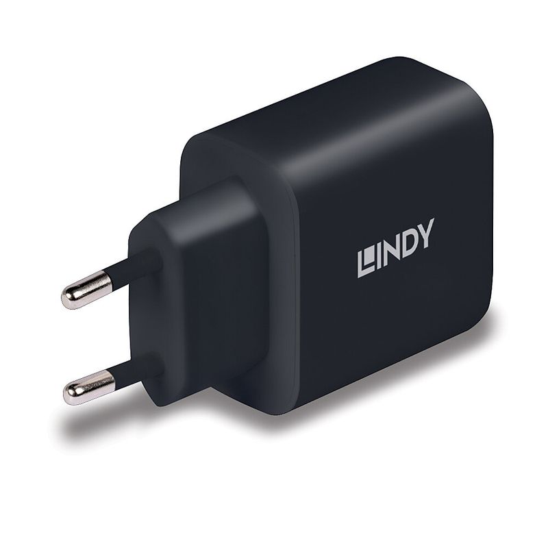 Lindy-Alimentatore-Gan-Usb-Tipo-C-65W