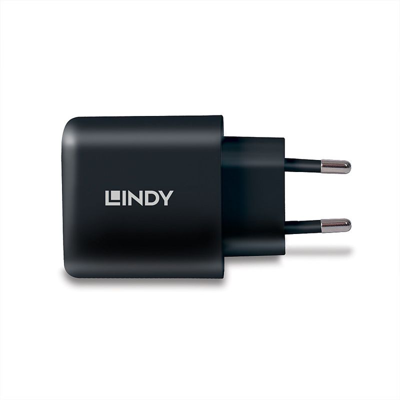 Lindy-Alimentatore-Gan-Usb-Tipo-C-65W