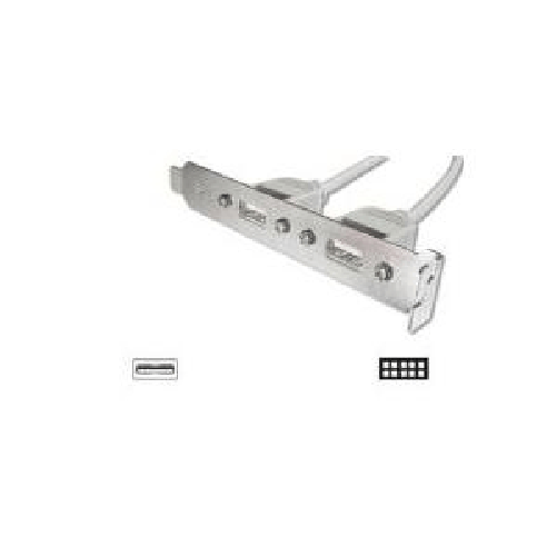 PIASTRINA-CON-4-CONNETTORI-USB-2.0-TIPO-A-ESTERNI---CONNETTORE-ALLA-PIASTRA-MADRE-2X10-PIN-254-MM.