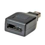 Nilox ROLINE DisplayPort Adapter, DP F - Mini DP M Nero