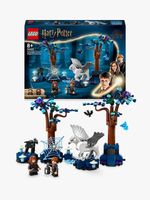 Foresta-Proibita--creature-magiche---Lego-Harry-Potter-76432