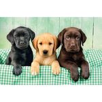 --CLEMENTONI-three-labs-puzzle-1000-pezzi