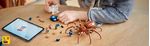 Aragog-nella-Foresta-Proibita---Lego-Harry-Potter-76434