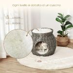 PawHut-Cesta-per-Gatti-a-2-Livelli-in-Rattan-PE-con-Cuscini-Lavabili-in-Peluche-Φ50x43.5cm---Grigio-Scuro