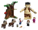 La-foresta-proibita--l-incontro-con-la-Umbridge---Lego-Harry-Potter-75967