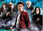 PUZZLE-1000-HQC-HARRY-POTTER