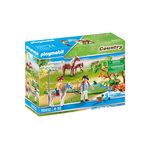 Playmobil Country 70512 gioco di costruzione