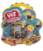 PET-PARADE-GATTI---VENDITA-UNITARIA-SOGGETTO-CASUALE