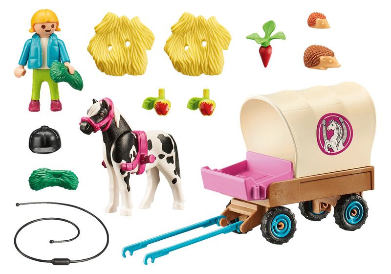 70998-CARROZZA-CON-PONY