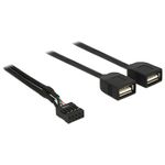 Delock USB Kabel Pin Header Buchse > 2 x USB 2.0 Typ-A Buchse 40 cm (83823)