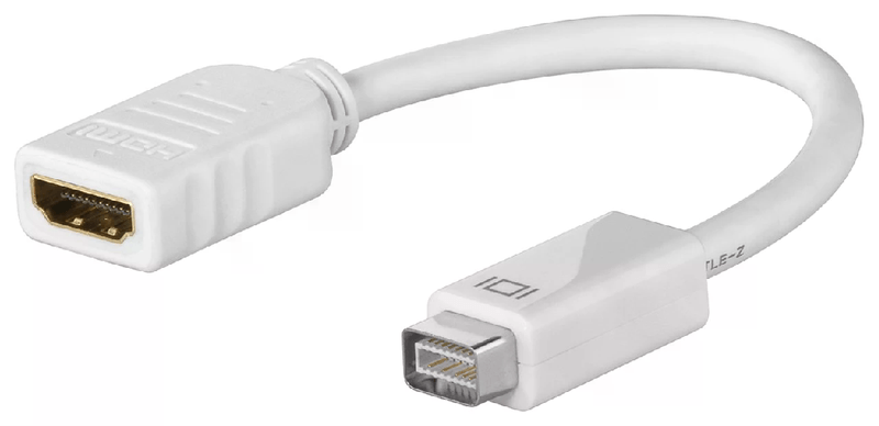 Adattatore-Mini-Dvi-Maschio---Hdmi-Femmina