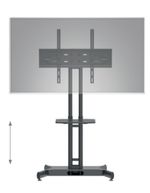 HP-TWIN-STAND-HD---55-84IN---LOAD-90KG