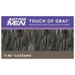 Touch-of-Gray-T-45-Castano-40mL